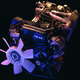 Image for article titled I Should Not Buy A MkIII Toyota Supra, Right?